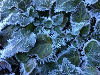 817170bc-20161218 VV kristali.jpg